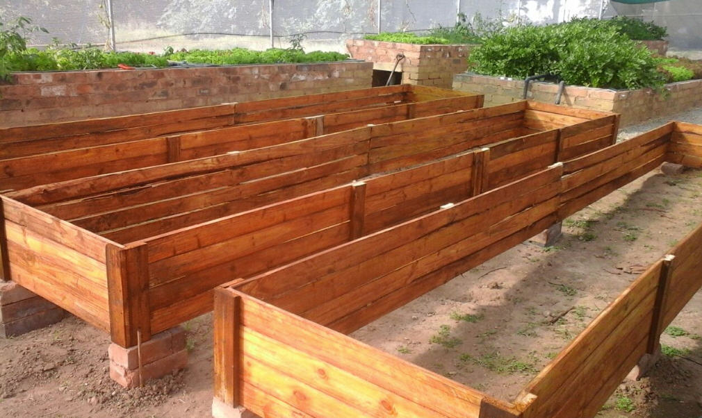 Aquaponics system melbourne The New Family Backyard