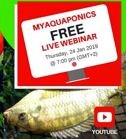 aquaponics courses and training in south africa - myaquaponics