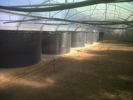 13800 litre welded mesh reinforced 800g pvc liner fish
