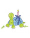 birthday turtle with candle birthday card