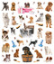 eyelike stickers: puppies, inside