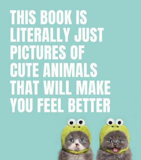 this book is literally just pictures book