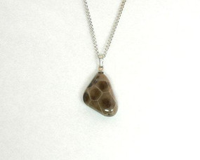 Petoskey stone teardrop pendant hangs on an 18" base metal chain
