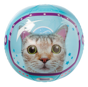 cat beach ball