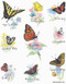 north american butterflies flour sack towel, Size: 28" x 29". 