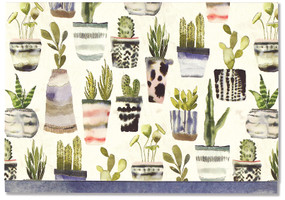 watercolor succulents note cards 