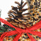 wildfeast wreath, bird seed