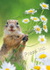 squirrel holding flowers thank you card