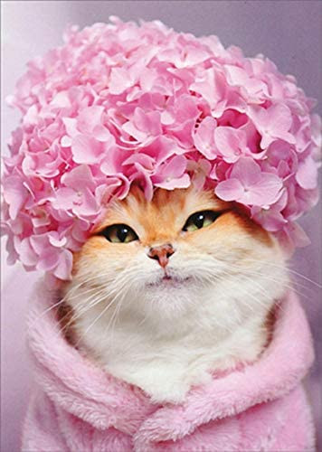 kitty cat hydrangea birthday card