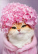 kitty cat hydrangea birthday card