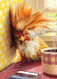 rooster hangover birthday card