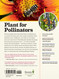 100 plants to feed the bees, back cover