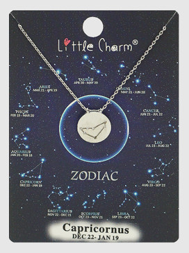 zodiac sign brushed metal necklace, capricorn