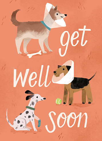doggy injuries get well 