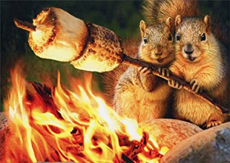 squirrels toasting marshmallows anniversary