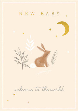 rabbit new baby card
