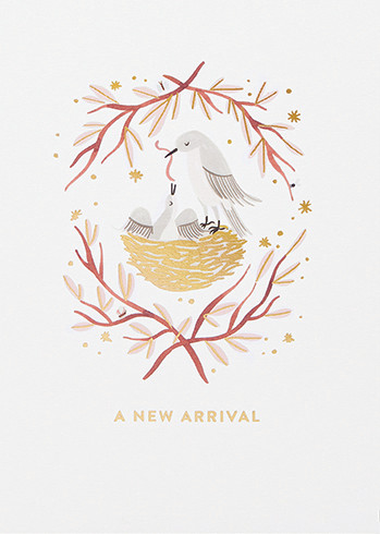 a new arrival baby card