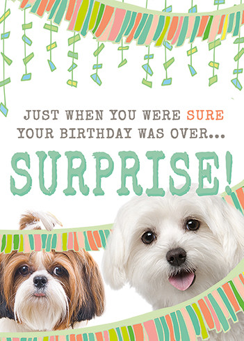 belated surprise birthday card