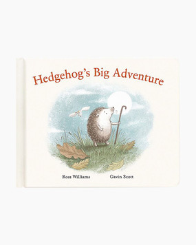 hedgehog's big adventure book