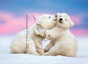 polar bear kisses | valentine