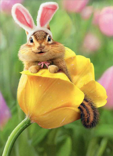 chipmunk with bunny ears easter card