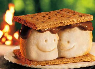 s'more couple anniversary card