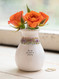 catalina bud vase