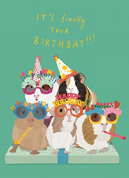 guinea pig party birthday