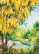 mimosa tree birthday card