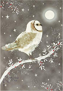 starry night owl small boxed holiday cards