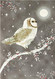 starry night owl small boxed holiday cards