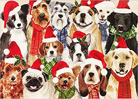 deck the dogs deluxe boxed holiday cards