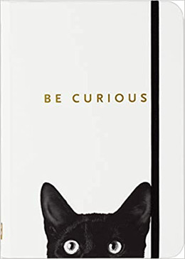 curious cat journal