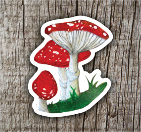 amanita mushroom sticker
