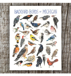 backyard birds of michigan 8 X 10 print