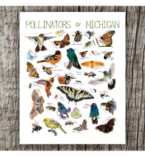 pollinators of michigan 8 X 10 print