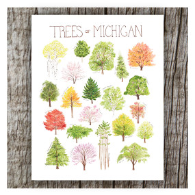 trees of michigan 8 X 10 print