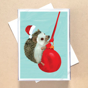 swingin' hedgehog boxed cards