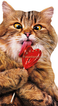 cat with heart lollipop | valentine's day
