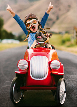 kid and dog in go cart birthday card