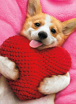 puppy heart pillow | valentine's day