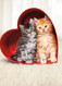 two kittens in a box | valentine's day