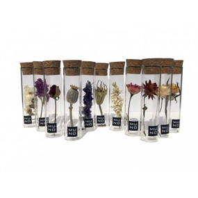 10 cm tube with dried flower (assorted)