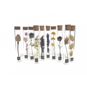 15 cm tube with dried flower (assorted)