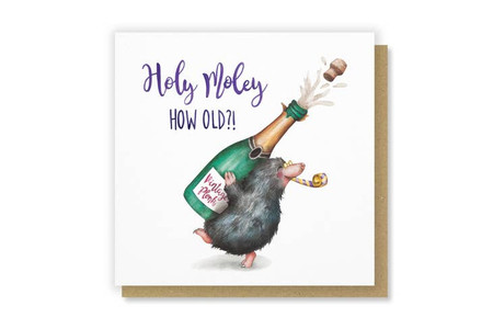 holy moley birthday card