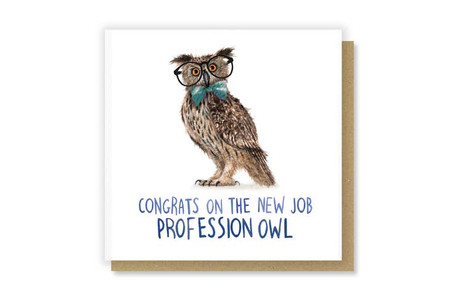 professional owl  new job card