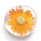 real flower glass magnet,  orange