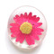 real flower glass magnet, pink