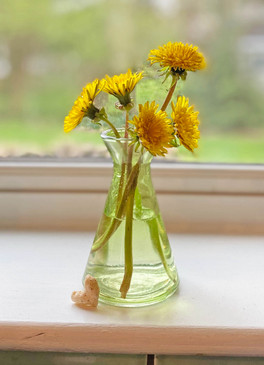 tiny glass flower vase