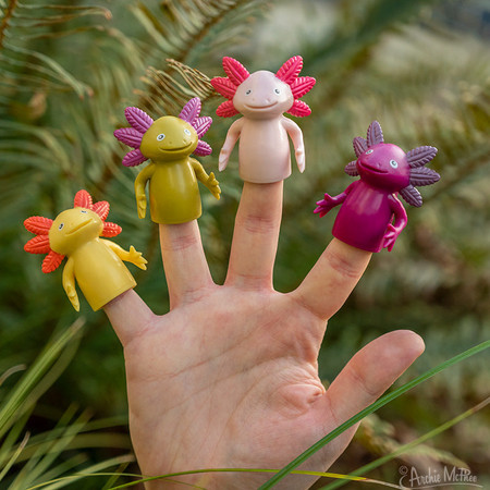 finger axolotls